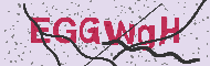 Güvenlik Kodu
