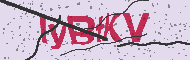 Güvenlik Kodu