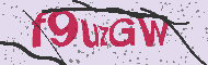 Güvenlik Kodu